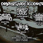 A Cabana, Tebra, Tomiño (Spa) 29.03.2024