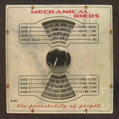 The Possibility of Flight