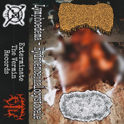 Lymphoedema / Hydroencephalocystocele