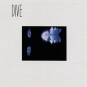 Big Machine by Dive