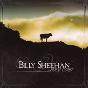 Billy Sheenan: Holy Cow