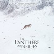 La panthère des neiges