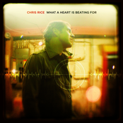 Love Is Gonna Break Through by Chris Rice