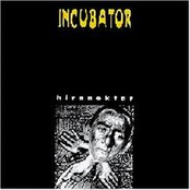 And I Live Inbetween by Incubator