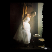 Dindi Bembo Orchestra