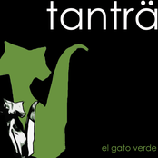 El gato verde