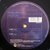 rebelgrooves