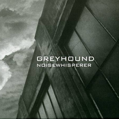 Hallucination by Greyhound