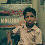 Malleus