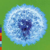 A week or two in the Real World