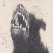 There Is So Much Pain in the World / Praise Kink - Single