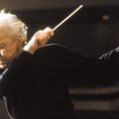 herbert von karajan: wiener philharmoniker