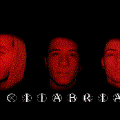 citabria