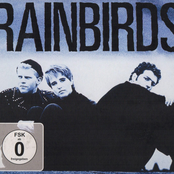 Rainbirds (25th Anniversary Edition)