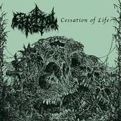 Cessation Of Life (Demo)