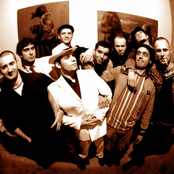 pannonia allstars ska orchestra