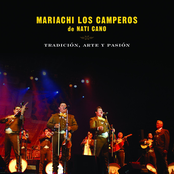 Mariachi Los Camperos: Tradición, Arte Y Pasión