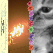 valleflorido / Mucama