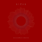 Stage II: Seismic Wave