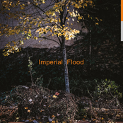 Logos: Imperial Flood