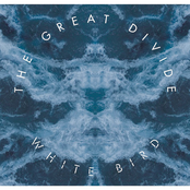 White Bird