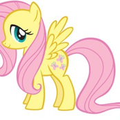 fluttershy