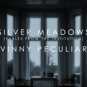 Silver Meadows (Fables from the Institution)