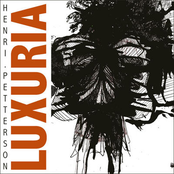 luxuria 3tr Single