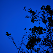 soreradiation (2013 demo)