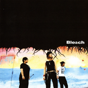 Bleach: Bleach