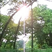 it is not the homosexual who is perverse, but the society in which he lives