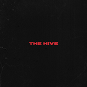 The Hive