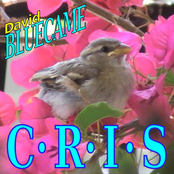CRIS