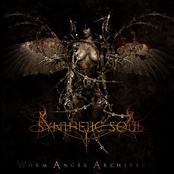 Worm Angel Architect