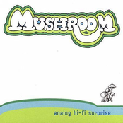 Analog Hi-Fi Surprise