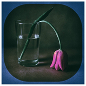 Tutti giù per terra