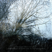 Wherein Beauty Lies in Depression