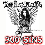 300 SINS