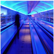 The People Were Even Stranger