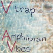 Amphibian Vibes [TROORG#002] Album Picture