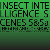 Insect Intelligence