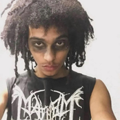 i plan to leave the internet