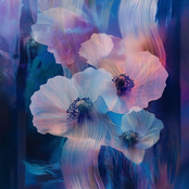 Stay With Me - Single