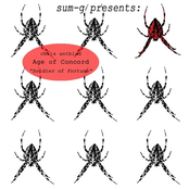 Age of Concord: Soldier of Fortune