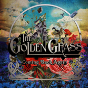 The Golden Grass: COMING BACK AGAIN