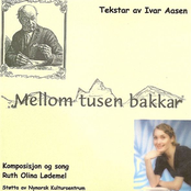 Mellom tusen bakkar