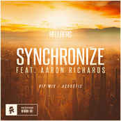 Synchronize (VIP Mix / Acoustic)