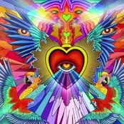 Pluma de Guacamayito