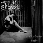 Into The Shroud (Single)