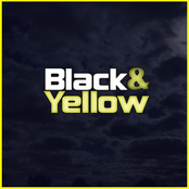 Black and Yellow: Black and Yellow